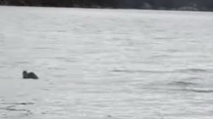 Screenshot_2016-06-29-04-24-14