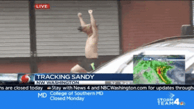 a5e73956.gif