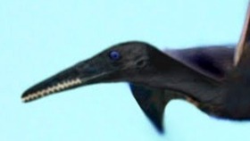 a6cbe002.jpg