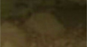 Screenshot_2016-01-30-06-25-05