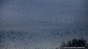 Screenshot_2016-03-01-22-46-27