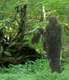 Screenshot_2015-11-29-05-52-23