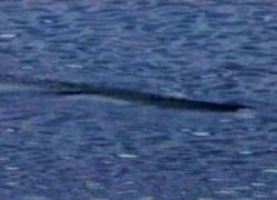 a97499ca.jpg