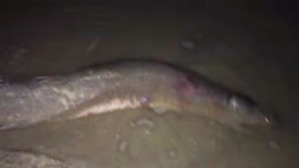 Effectplus_20160219_022705