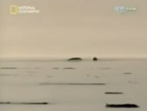 Screenshot_2015-12-28-23-25-31