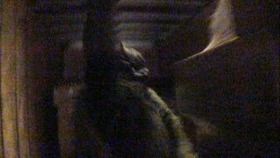 aab5e1d9.jpg