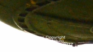 Screenshot_2016-06-29-01-28-19