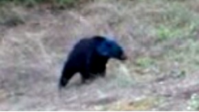 Screenshot_2016-01-16-15-36-10