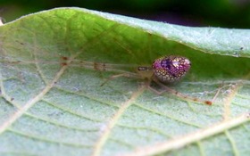 ab803ebc.jpg