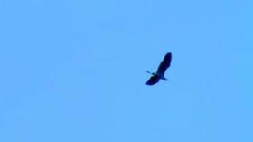 Screenshot_2015-10-26-03-49-18