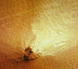 ac254498.jpg