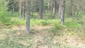 Screenshot_2015-11-18-09-56-49