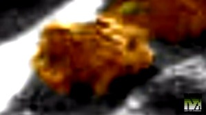 Screenshot_2016-03-12-01-43-36