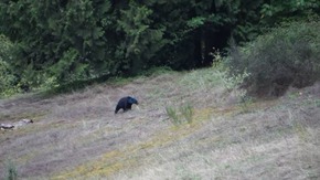 Screenshot_2016-01-16-15-34-19