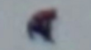 Screenshot_2016-05-17-21-32-14