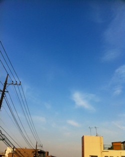 ae4d775e.jpg