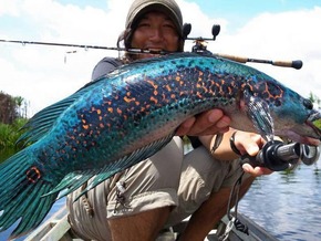 25544155161c2ea12b27a18d470d361a