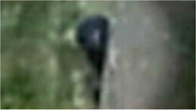 Screenshot_2015-11-18-10-05-34