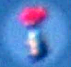 Screenshot_2015-12-19-14-01-52