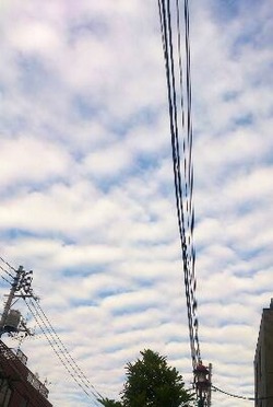 af9c51c8.jpg