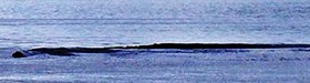 b142ced6.jpg