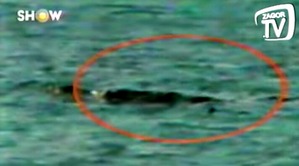 Screenshot_2016-05-27-06-49-11