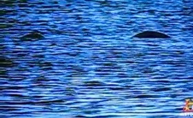 b19b3d96.jpg