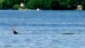 Screenshot_2016-05-22-06-57-40