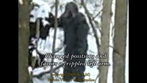 Screenshot_2015-11-29-05-16-47