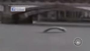 Screenshot_2016-04-09-18-44-14