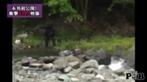 Screenshot_2016-03-13-10-36-54