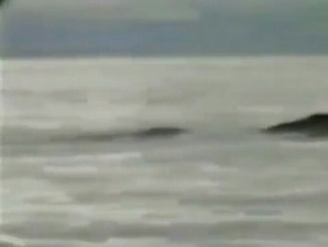 Screenshot_2016-04-06-12-15-40