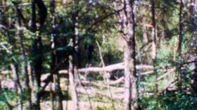 b3fd7408.jpg