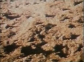 Screenshot_2015-10-12-10-22-21