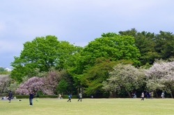 b4a6e671.jpg
