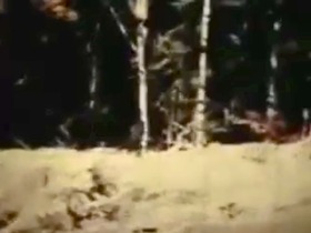 b4bd3727.jpg