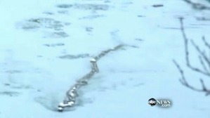 Screenshot_2016-02-19-01-43-29