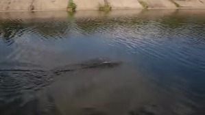 Screenshot_2016-07-01-03-32-01