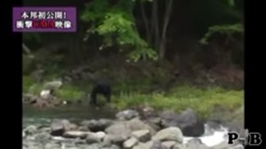 Screenshot_2016-03-13-10-36-42