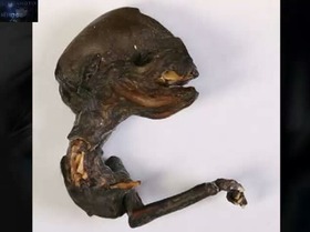 Screenshot_2015-11-02-07-57-52