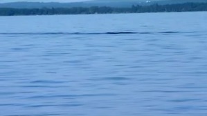 Screenshot_2016-06-29-02-35-12