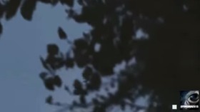 Screenshot_2015-10-20-15-32-02