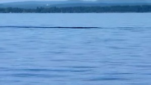 Screenshot_2016-06-29-02-35-15