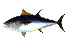b8aae455.jpg