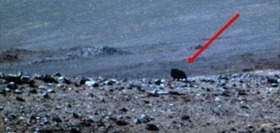 Screenshot_2015-11-19-20-50-41