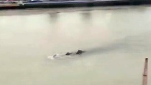 Screenshot_2016-06-25-07-28-16