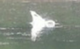 Screenshot_2015-10-10-16-48-35