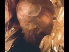 Screenshot_2015-11-28-18-42-01