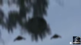 Screenshot_2015-10-20-15-32-06