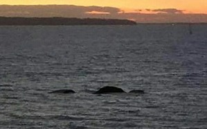 Screenshot_2016-05-08-13-47-17